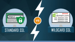 When to get a cheap wildcard SSL