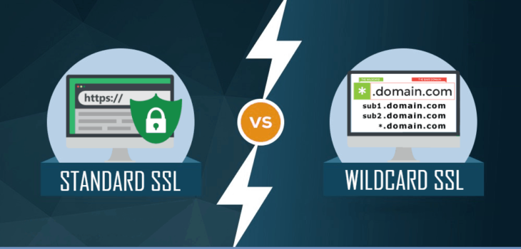 When to get a cheap wildcard SSL