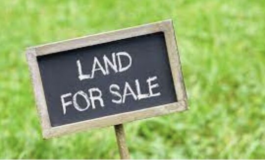 4 Tips For Selling Land Privately