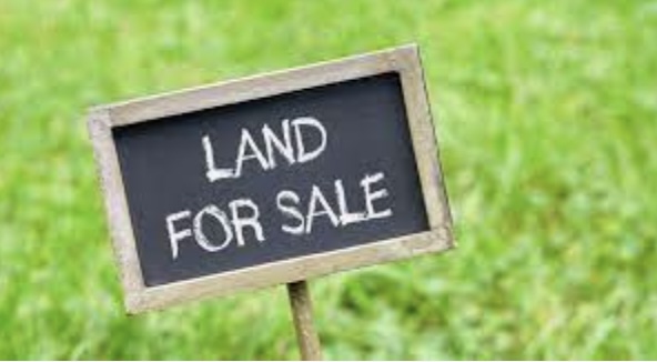 4 Tips For Selling Land Privately