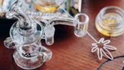 Dab Rig - Useful Guide For You