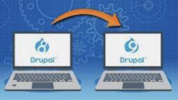 Drupal 8 to Drupal 9 Migration Made Easy