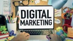 Questions to Ask Before Hiring Digital Marketing Services in Commack, NY