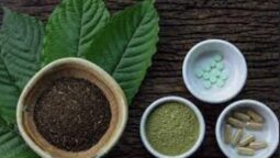 Should You Buy Kratom Shots From A Kratom Store in Texas for Improved Mental Clarity?