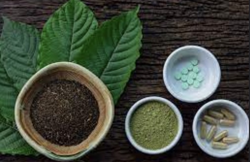 Should You Buy Kratom Shots From A Kratom Store in Texas for Improved Mental Clarity?