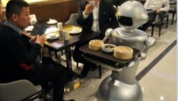 Robot Delivery Food In Restaurant, Specs
