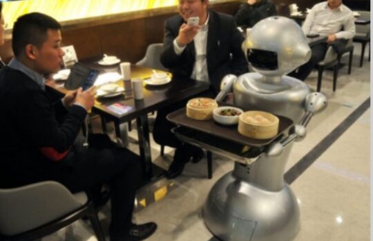 Robot Delivery Food In Restaurant, Specs