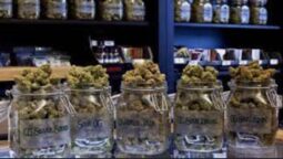 What is a Marijuana Dispensary?