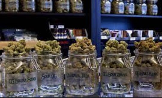 What is a Marijuana Dispensary?