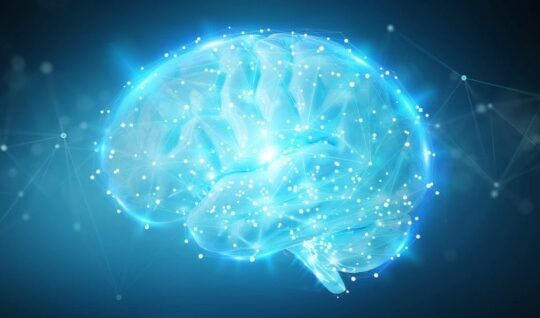 Interesting Facts About Your Healthy Brain