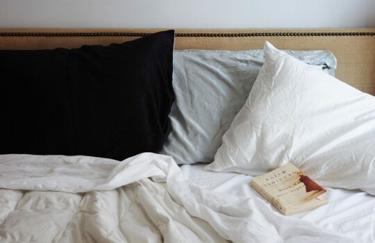 Mulberry Silk Pillowcases - Good For You In So Many Ways