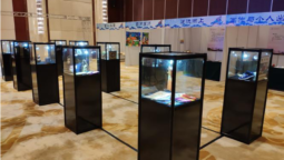 Jewelry display case main material introduction