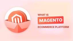 Unlocking the Power of Magento Video for Product Types