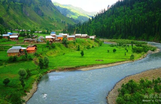 Top 15 Things to Do in Kashmir for Every Traveller