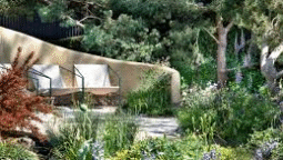 Creating a Tidy Native Plant Garden: Practical Tips for a Neat and Natural Landscape