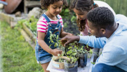 Best Family Fun Activities for a Day Out