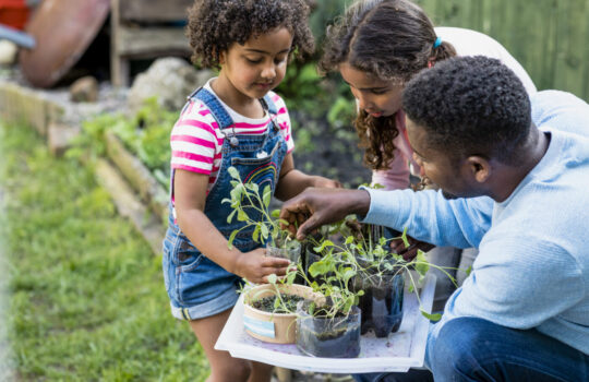 Best Family Fun Activities for a Day Out