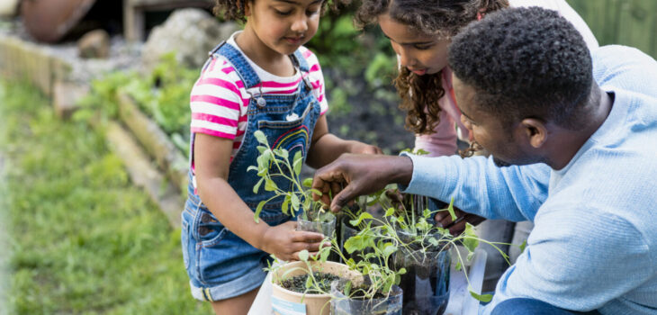 Best Family Fun Activities for a Day Out