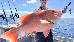 Planning a Port Douglas Holiday? What to Know Before Booking a Reef Fishing Trip