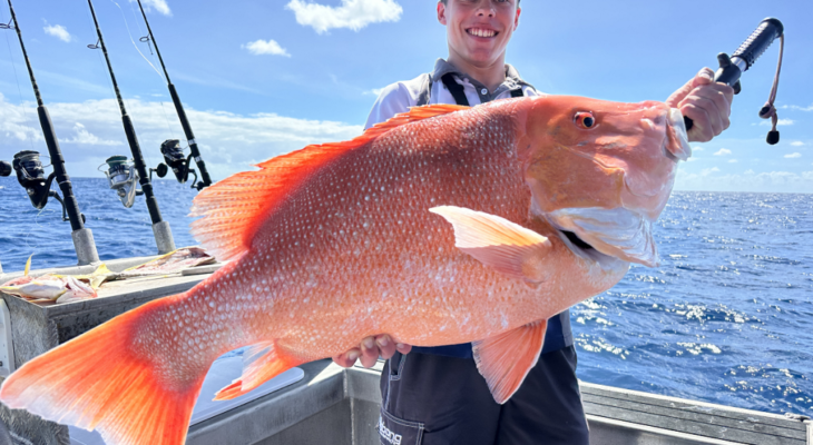 Planning a Port Douglas Holiday? What to Know Before Booking a Reef Fishing Trip